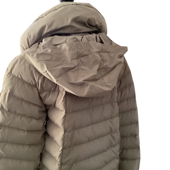 DKNY Puffy Jacket - Picture 6 of 10